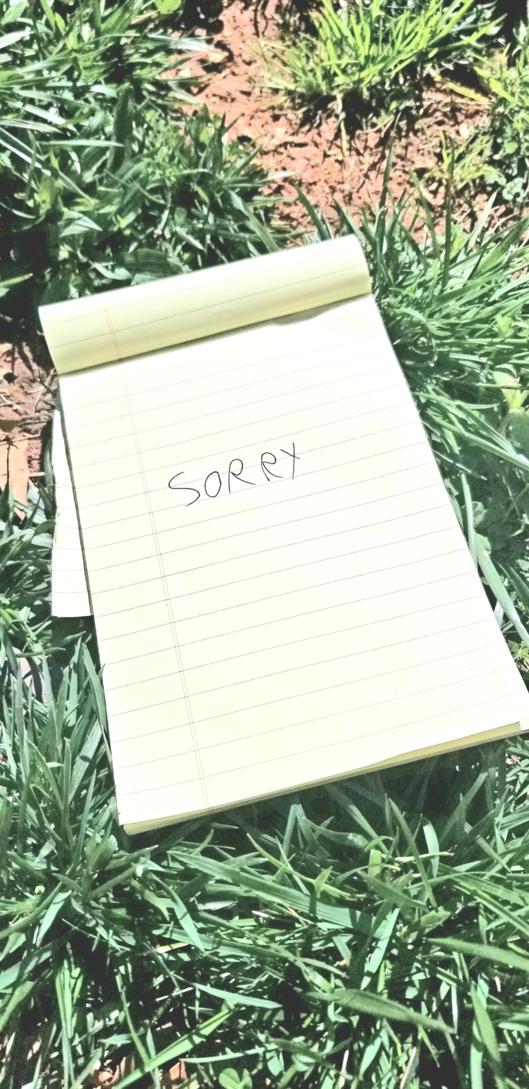 WHAT APOLOGIES ARE YOU WAITING FOR?