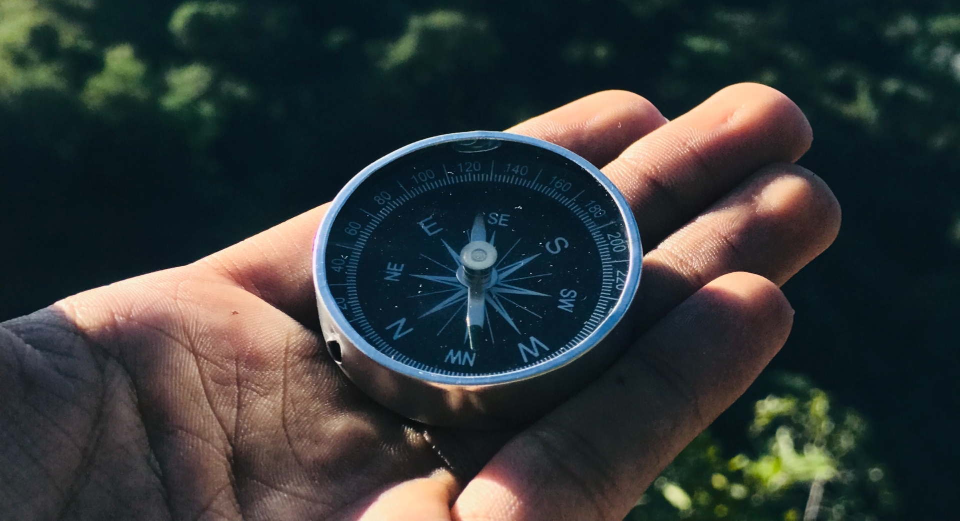 Photo by Supushpitha Atapattu from Pexels